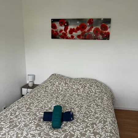 Le Cosy : 4 Personnes - Mulhouse